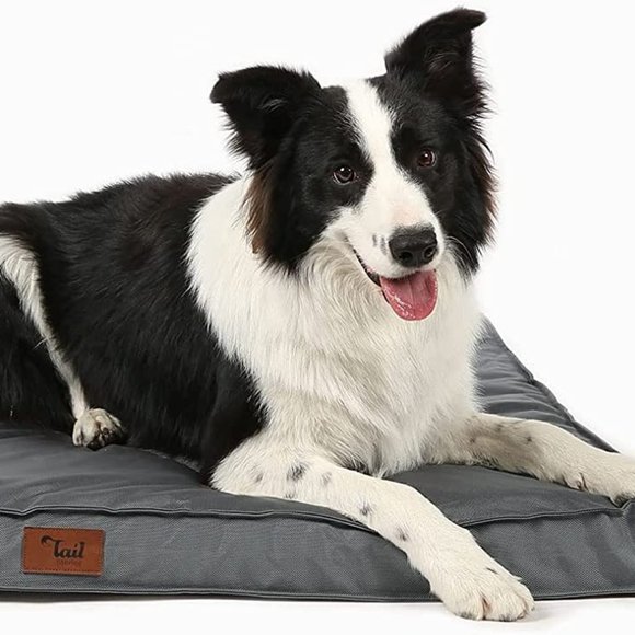 Orthopedic Waterproof Dog Beds for Large Dogs